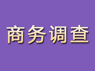 二七商务调查